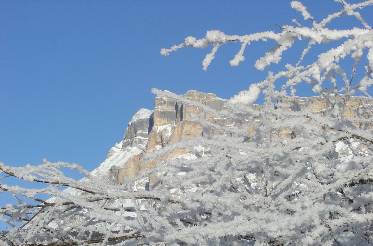 Ciasa Alfri Otel La Villa  Dış mekan fotoğraf